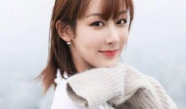 最新爆料杨紫肖战微博,甜蜜互动引网友热议